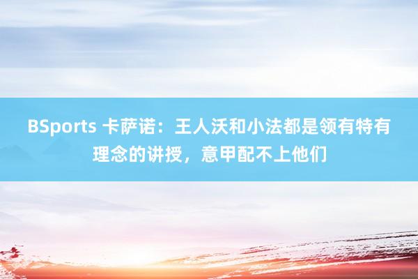 BSports 卡萨诺：王人沃和小法都是领有特有理念的讲授，意甲配不上他们