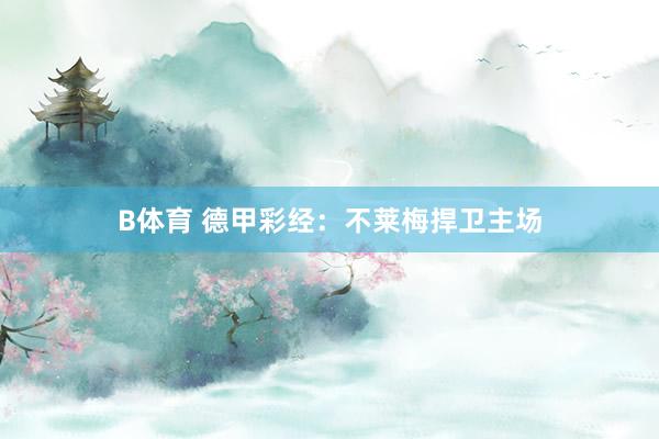 B体育 德甲彩经：不莱梅捍卫主场