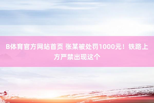 B体育官方网站首页 张某被处罚1000元！铁路上方严禁出现这个