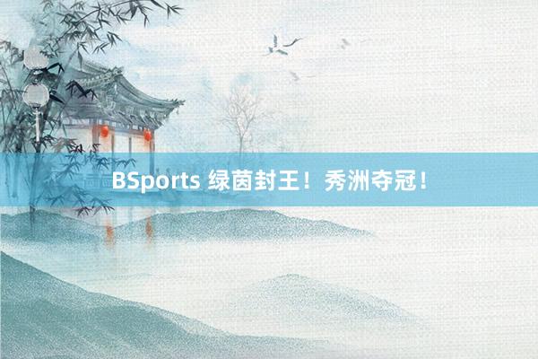 BSports 绿茵封王！秀洲夺冠！