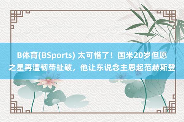 B体育(BSports) 太可惜了！国米20岁但愿之星再遭韧带扯破，他让东说念主思起范赫斯登