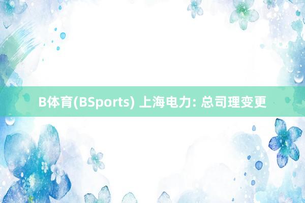 B体育(BSports) 上海电力: 总司理变更