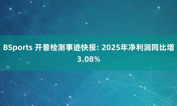 BSports 开普检测事迹快报: 2025年净利润同比增3.08%