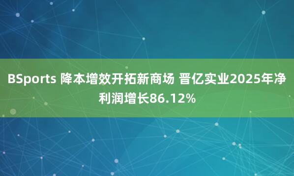 BSports 降本增效开拓新商场 晋亿实业2025年净利润增长86.12%