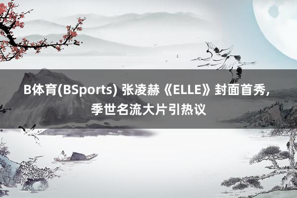 B体育(BSports) 张凌赫《ELLE》封面首秀， 季世名流大片引热议