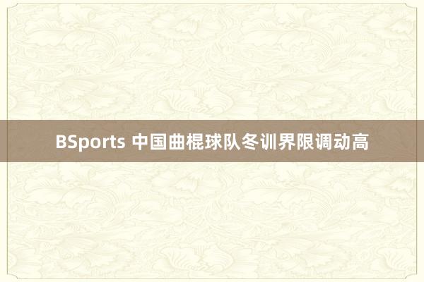 BSports 中国曲棍球队冬训界限调动高