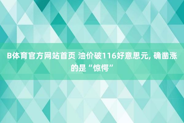 B体育官方网站首页 油价破116好意思元， 确凿涨的是“惊愕”