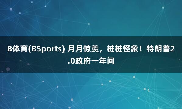 B体育(BSports) 月月惊羡，桩桩怪象！特朗普2.0政府一年间