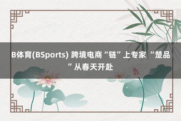 B体育(BSports) 跨境电商“链”上专家 “楚品”从春天开赴