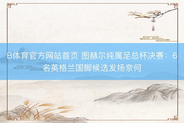 B体育官方网站首页 图赫尔纯属足总杯决赛：6名英格兰国脚候选发扬奈何