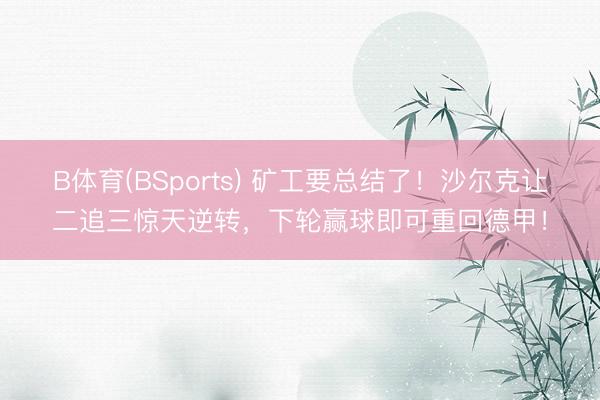 B体育(BSports) 矿工要总结了！沙尔克让二追三惊天逆转，下轮赢球即可重回德甲！