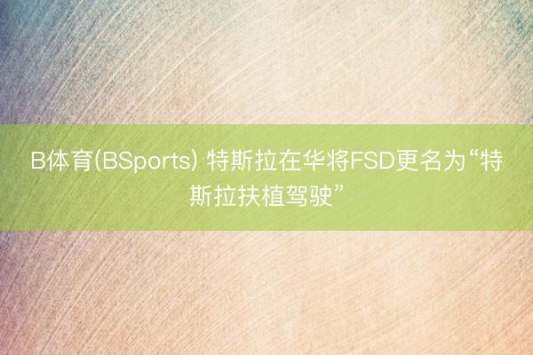 B体育(BSports) 特斯拉在华将FSD更名为“特斯拉扶植驾驶”