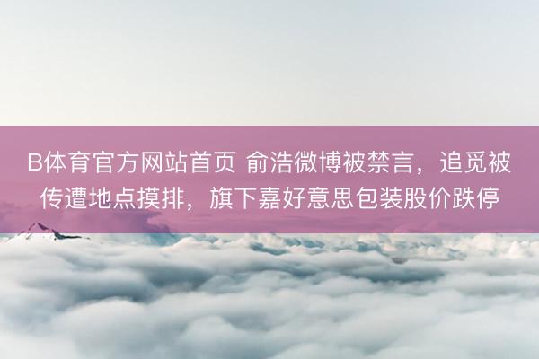 B体育官方网站首页 俞浩微博被禁言,追觅被传遭地点摸排,旗下嘉好意思包装股价跌停