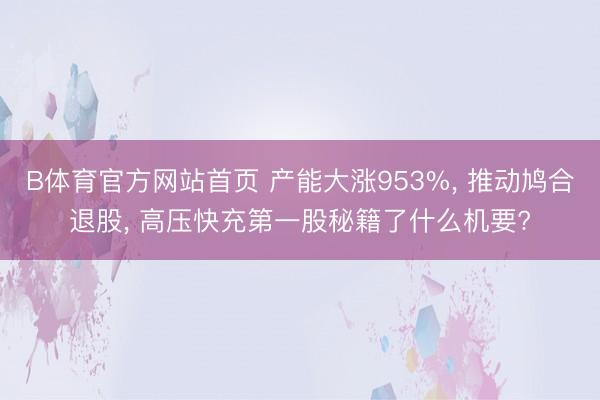 B体育官方网站首页 产能大涨953%, 推动鸠合退股, 高压快充第一股秘籍了什么机要?