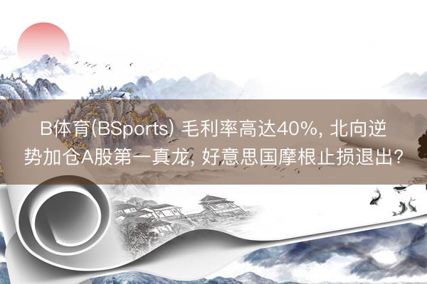 B体育(BSports) 毛利率高达40%, 北向逆势加仓A股第一真龙, 好意思国摩根止损退出?